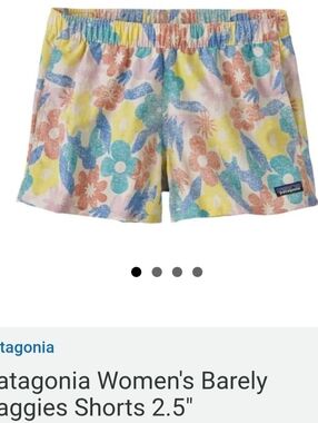 Patagonia Barely Baggies